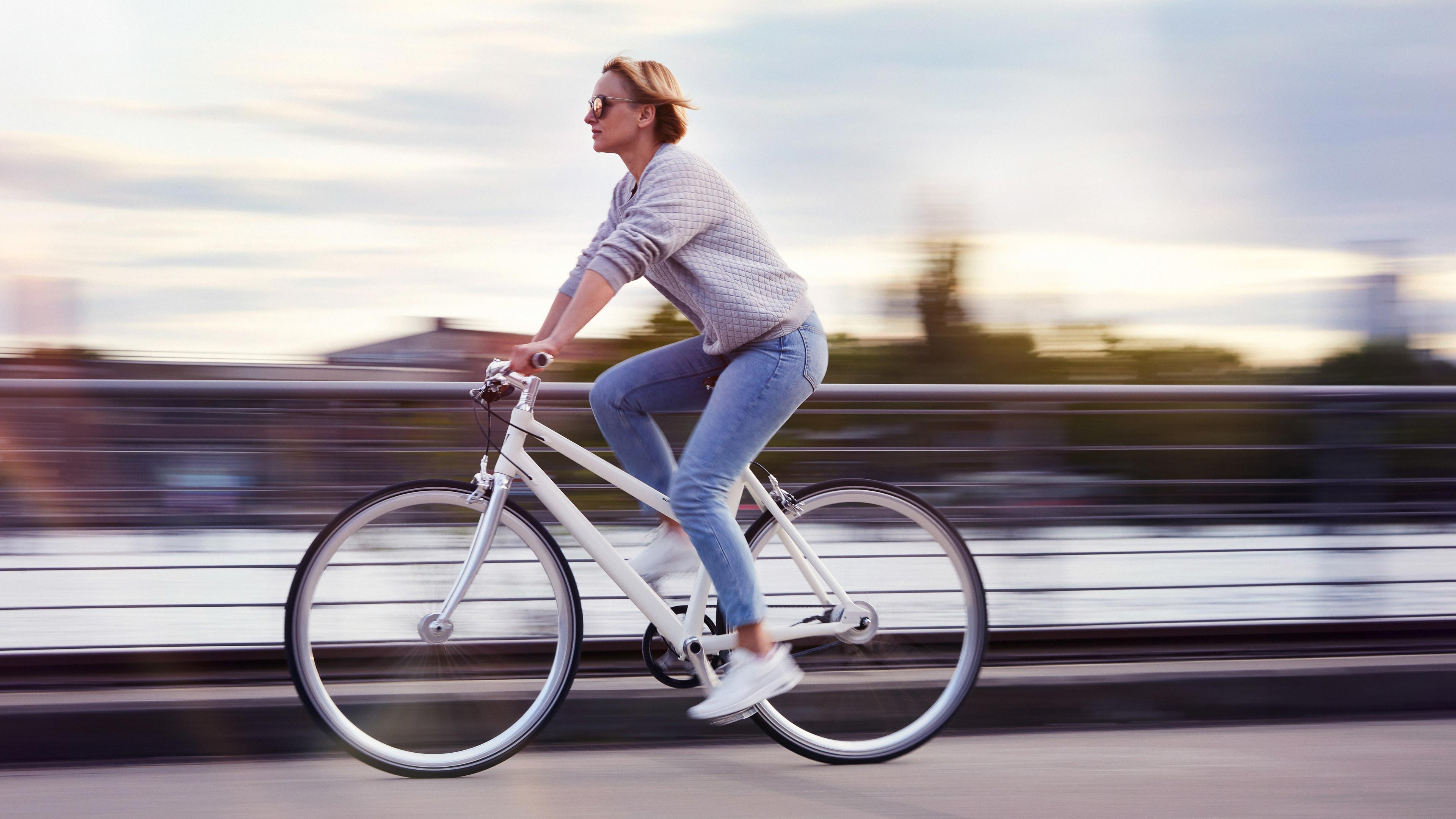 Bike Schindelhauer Lotte 8-Speed 56 Alu pure