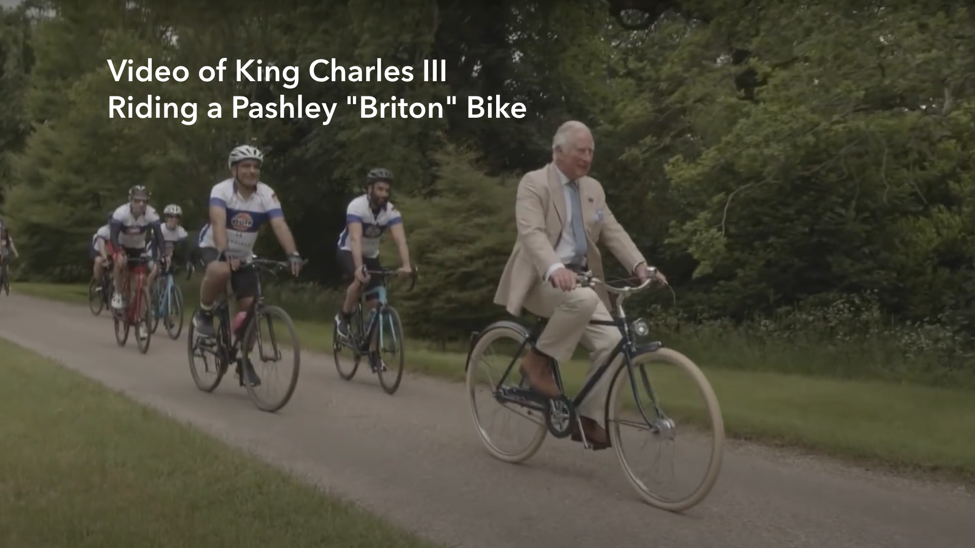 Men's Bike Pashley Briton Oxblood 20.5