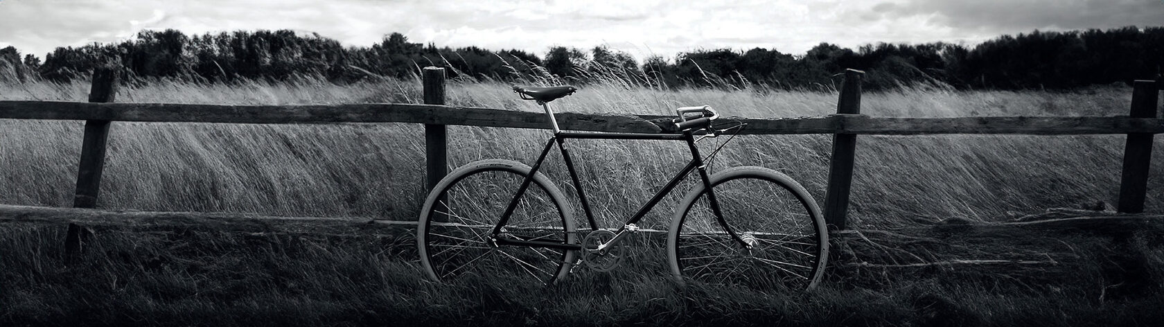 Велосипед Pashley Guvnor 3 Black 22.5