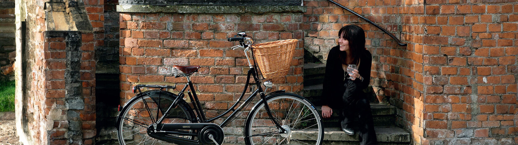 Велосипед Pashley Princess Classic 5 Green 20