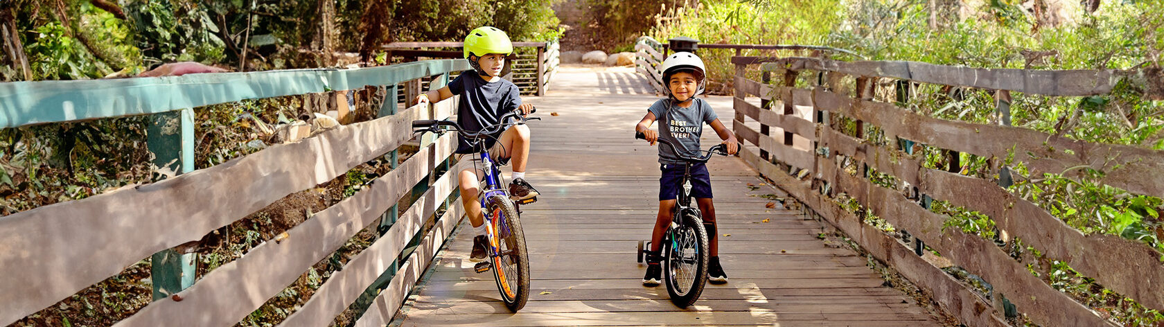 Kids' Bike Electra Starship 16