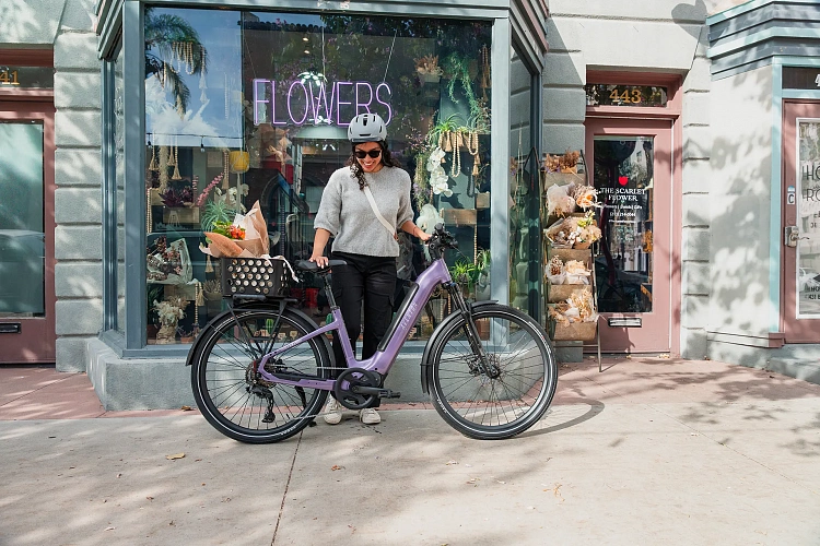 Электровелосипед Aventon Level 4 ADV SO Matte Black M