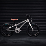 Детский велосипед Early Rider Belter Sage Green 14