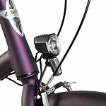 Велосипед Electra Townie 7D EQ Step Thru Purple