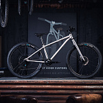 Детский велосипед Early Rider Seeker Brushed Aluminium 24