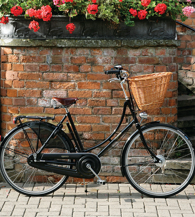 Велосипед Pashley Princess Sovereign 5 Green 22"