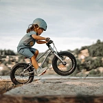 Детский велосипед Early Rider Seeker Brushed Aluminium 14