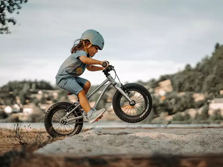 Детский велосипед Early Rider Seeker Brushed Aluminium 14