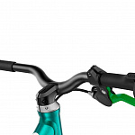 Беговел Woom go 1 metallic turquoise/petrol 12”