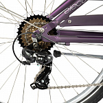 Велосипед Electra Townie 7D EQ Step Thru Purple