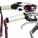 Велосипед Electra Wren 3i