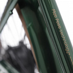 Электровелосипед Electra Townie GO! 7D EQ Step Over Evergreen Metallic