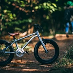Детский велосипед Early Rider Seeker Brushed Aluminium 14