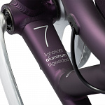 Велосипед Electra Townie 7D EQ Step Thru Purple