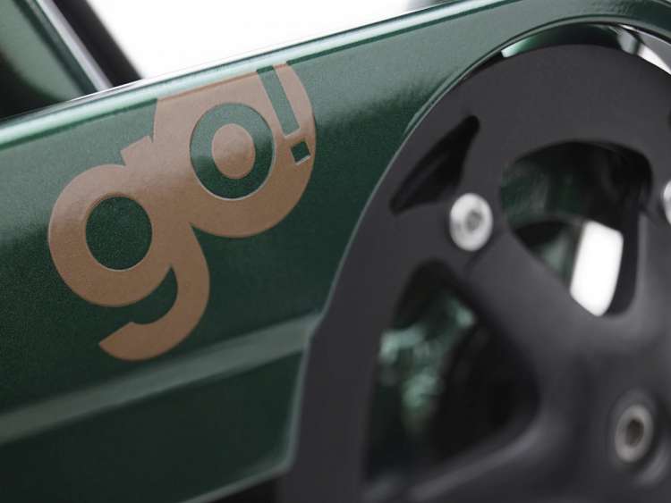 Электровелосипед Electra Townie GO! 7D EQ Step Over Evergreen Metallic