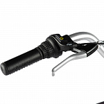 Велосипед Electra Townie 7D EQ Step Thru Purple