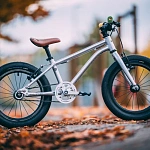 Детский велосипед Early Rider Belter Brushed Aluminium 16